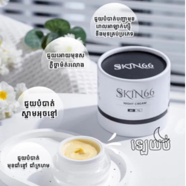 SKIN66 NIGHT CREAM