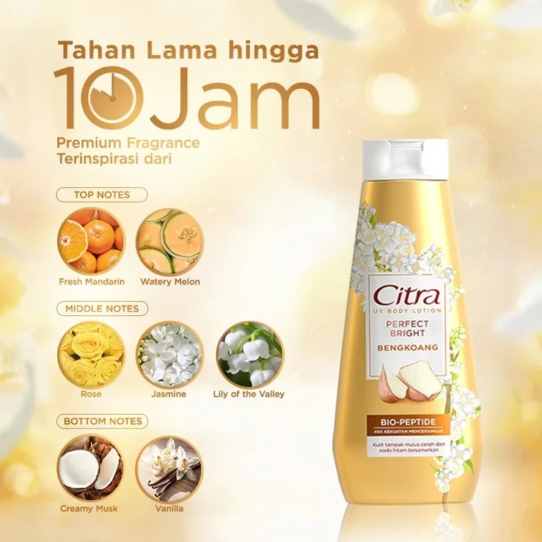 210ml CITRA UV BODY LOTION PERFECT BRIGHT BENGKOANG